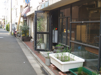 http://blog.kiss-cafe.jp/image/0624kiss-thumbnail4.jpg