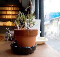 http://blog.kiss-cafe.jp/image/hachiue-thumbnail4.jpg