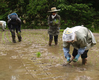 http://blog.kiss-cafe.jp/image/taue003-thumbnail4.jpg